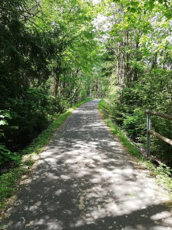 Ferienwohnung Bergwiese Schwarzenbach am Wald ภายนอก รูปภาพ